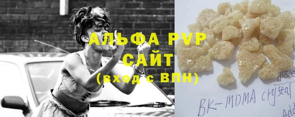 стаф Козельск