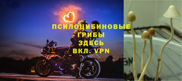 стаф Козельск