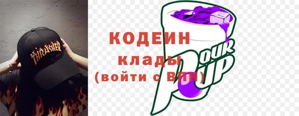 стаф Козельск
