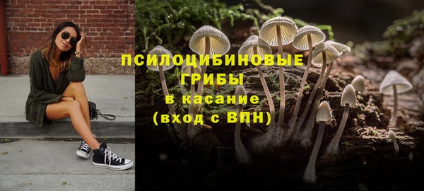 стаф Козельск