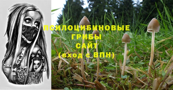 меф Кодинск
