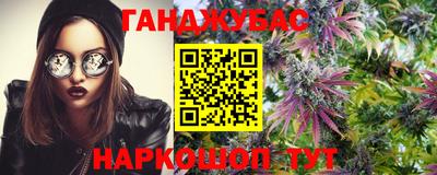 apvp Гагарин
