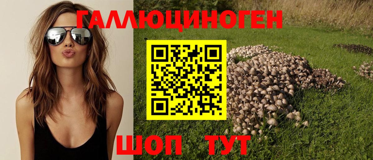 Дербент  Галлюциногенные грибы мицелий  Вход с VPN 
