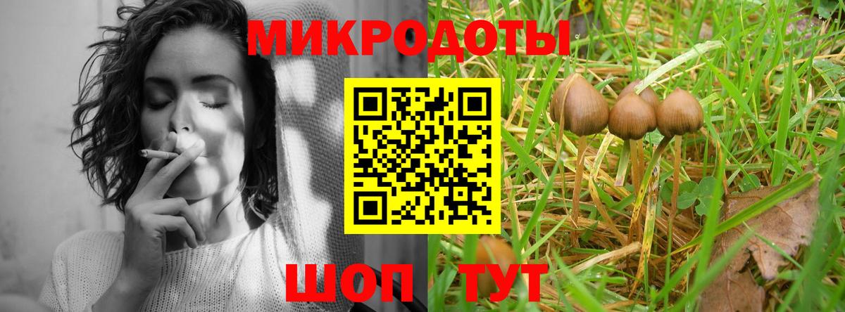 Галлюциногенные грибы мицелий  Дербент  Псилоцибиновые грибы GOLDEN TEACHER 