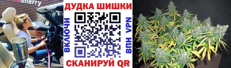 Бошки марихуана сатива  наркота  Дербент 